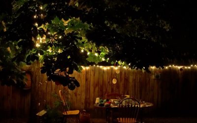 Iluminar el jardín
