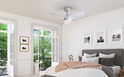 Función invierno de los ventiladores de techo